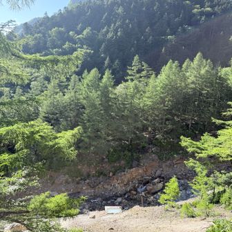 こんなところからも野天風呂が見えてた