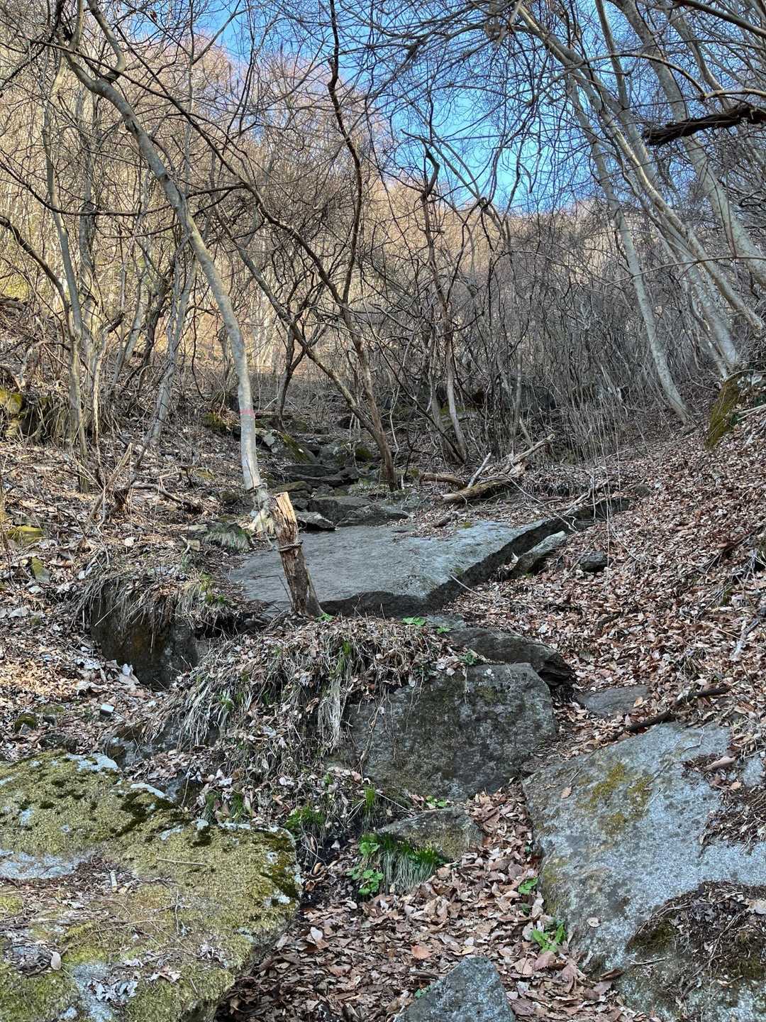一枚岩の上を歩きます
