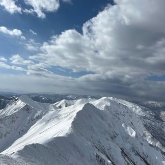 こっちは少しずつ曇りだして来ました。風も時折突風になります。