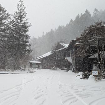 稲子湯まで無事下山。急遽稲子湯旅館での宿泊を決めました。とにかく、ここまで明るいうちに戻ってくることが出来てよかったです。本沢温泉山小屋の方には申し訳ないことをしました。いつか必ず行きます！！