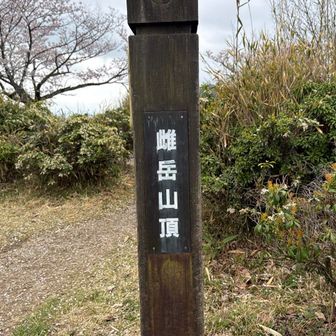 やっと雌岳山頂標識があった…。おにぎりを食べてさあ次を目指します。ここは関西百名山でもあります。知らない間に32座目だ。
今年の目標としても、これで半分達成なんだよね。満開の桜の二上山🌸🌸🌸少し薄暗かったけどさ🤏