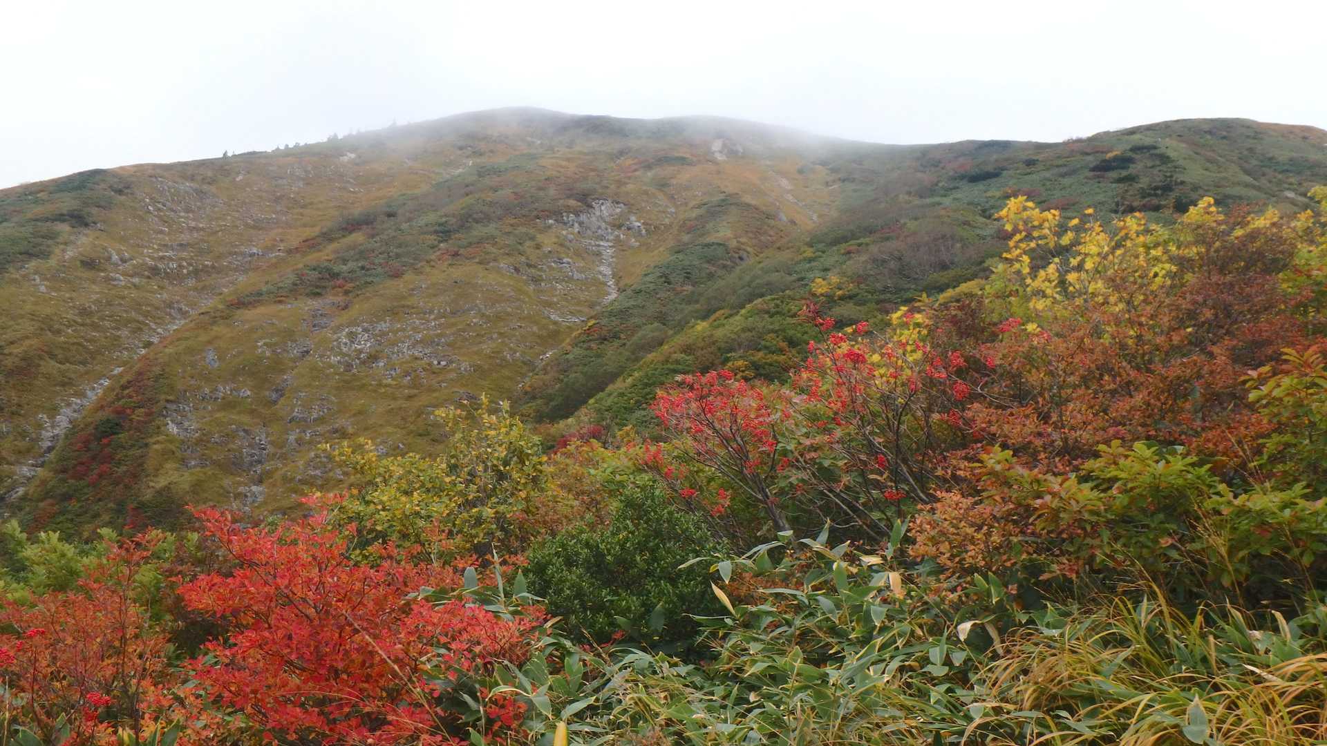 巻機山登山口-前巻機-巻機山 往復コースの写真