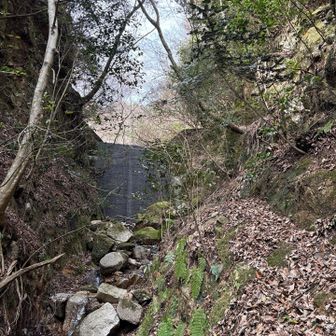 六甲山・長峰山・摩耶山 ➡️を巻く