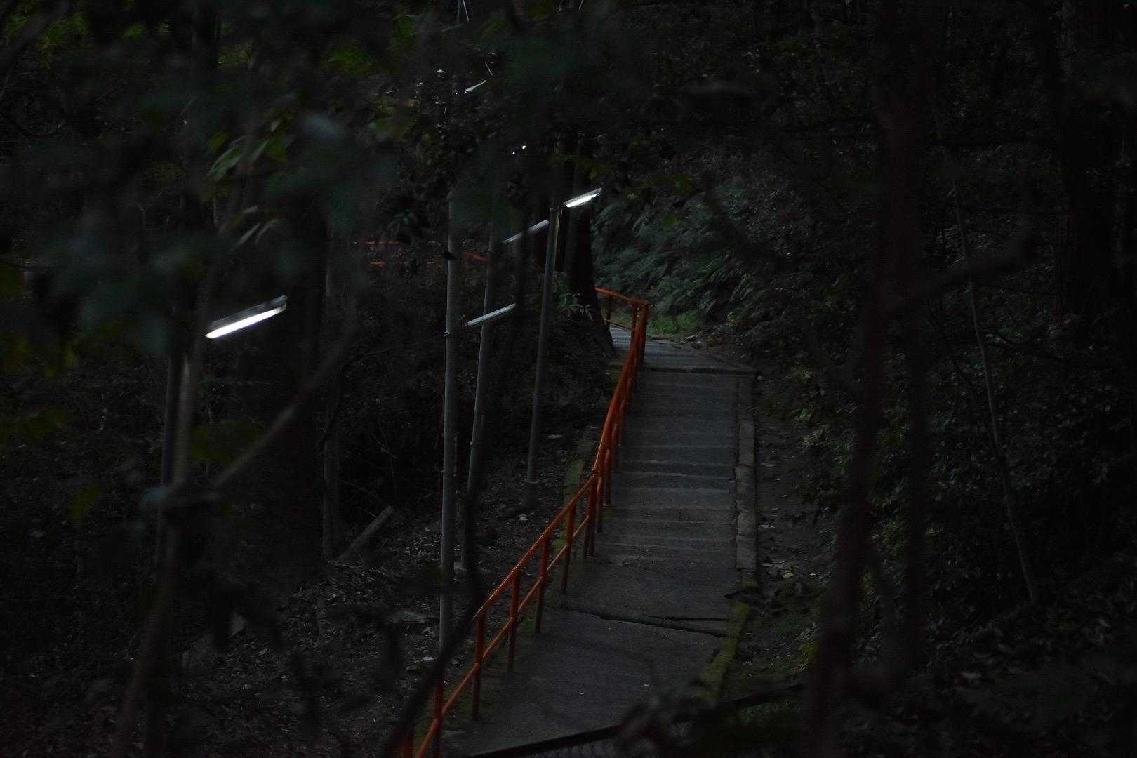 さ、下りるよ。