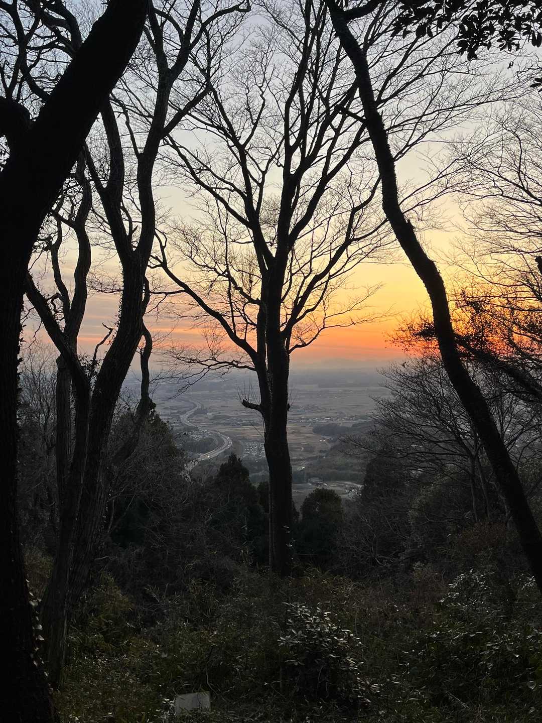 すっかり夕方。