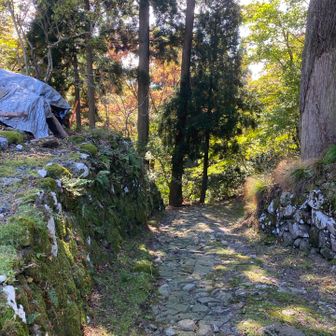 帰り(降り)は、速い！先ほどの北国街道