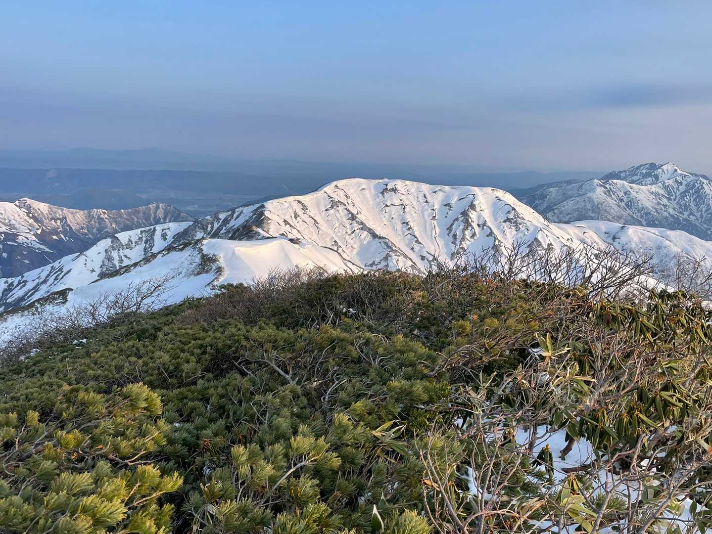 下津川山へは、ネコブ山からの尾根が伸びてきている。ここから下津川山に来るコースもあるらしい。