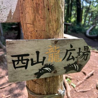 さらに進むと広場へ
次のピークの東山と対なのか