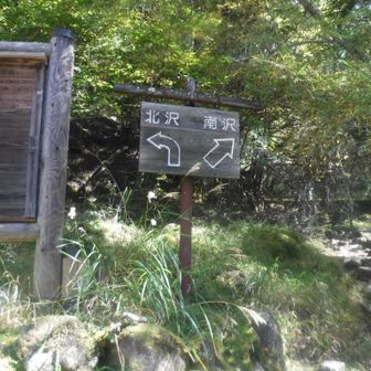 私は北沢へ