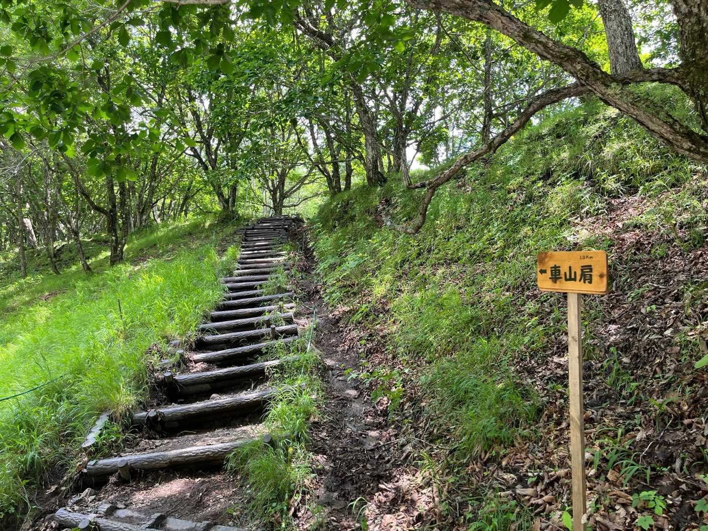 車山肩へ徐々に登ります