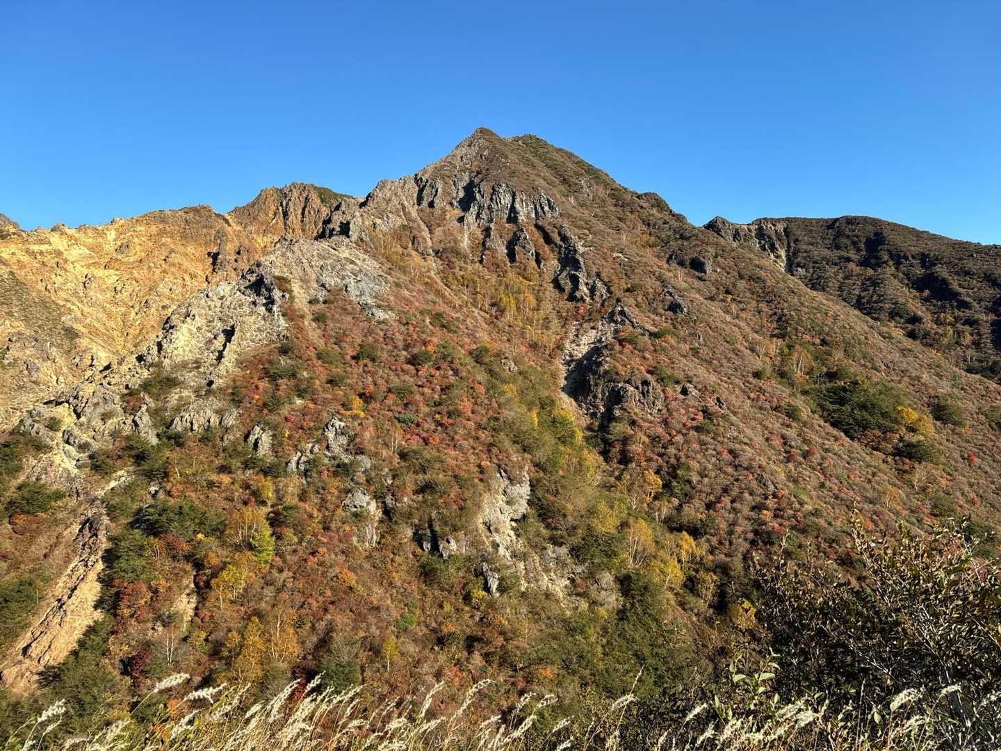 山頂駅-茶臼岳-朝日の肩-朝日岳-熊見曽根-1900m峰- 縦走コースの写真