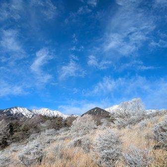 美し森駐車場から整備された展望台への道を進むとはやこの絶景
真ん中右の雪かぶってない山が牛首山です
その奥に真っ白な赤岳！
駐車場のトイレは冬季閉鎖中