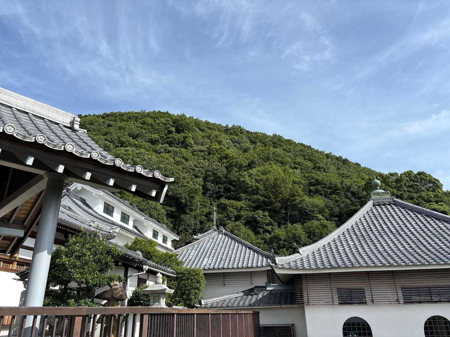今から登る甲山⛰️
形がキレイ💚