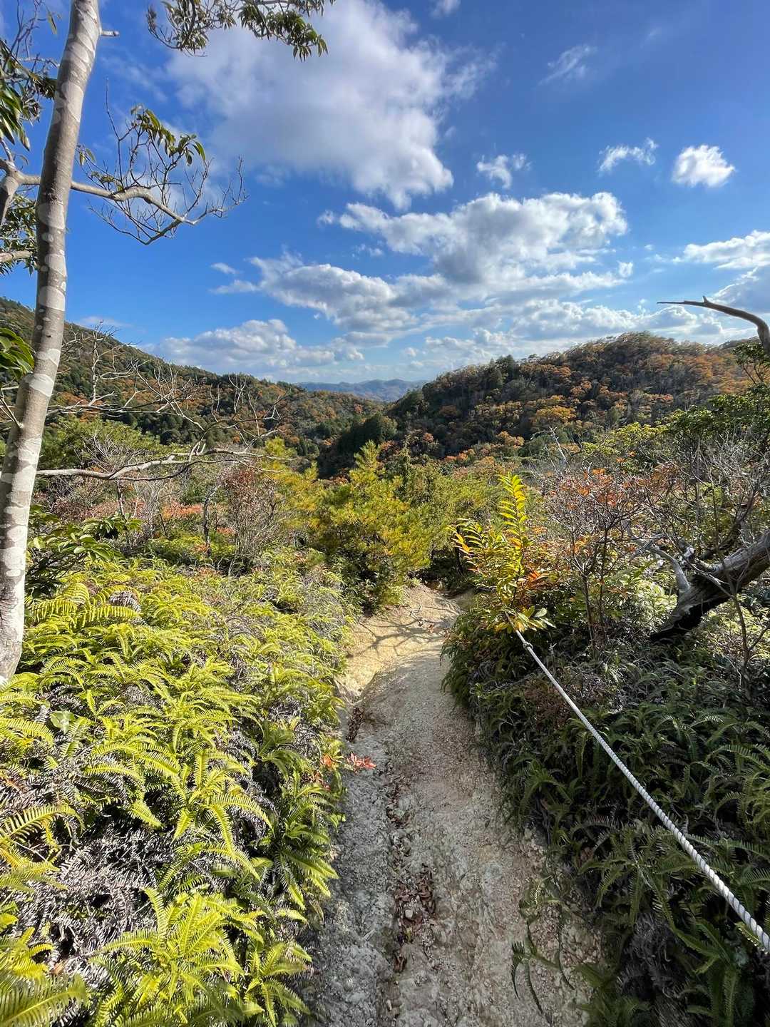 衝原バス停-丹生神社-丹生山-朝日山-北山 周回コースの写真