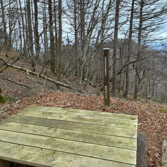 東海自然歩道最高地点に到着