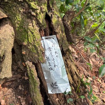 坂の手前の切り株にひっそりと貼られていました。