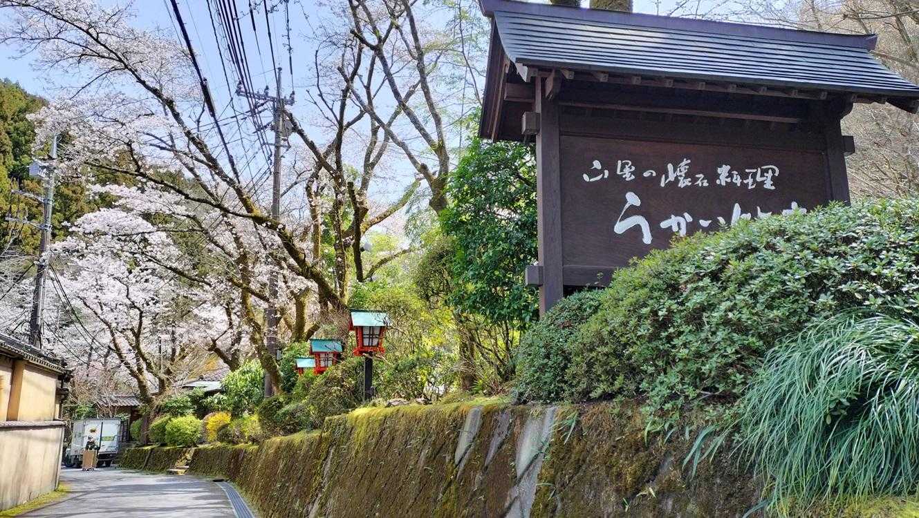 うかい竹亭、桜満開♪