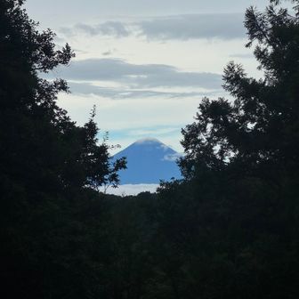 小屋のドアの横にビュースポット🗻