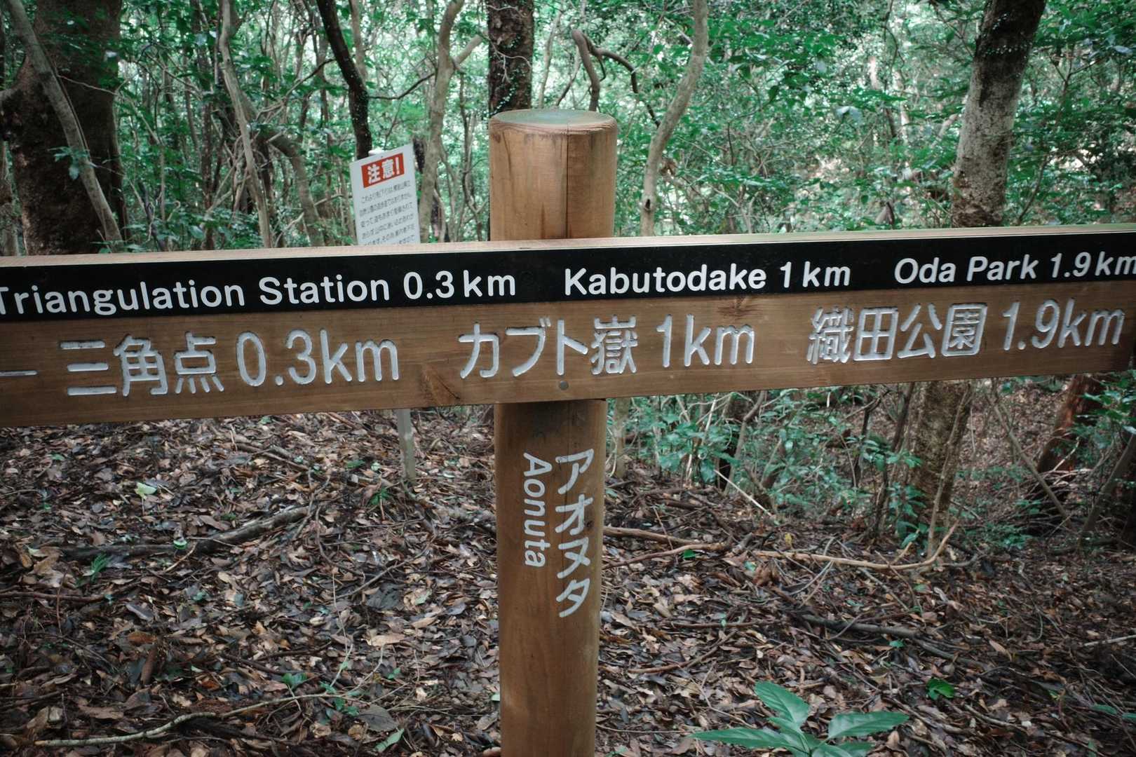 標識新しい