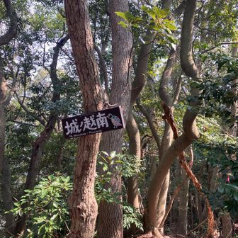 城ノ越山南峰⛰️🐦