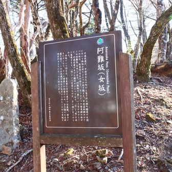 難所で阿難坂と呼ばれたものが女坂に転じたようです