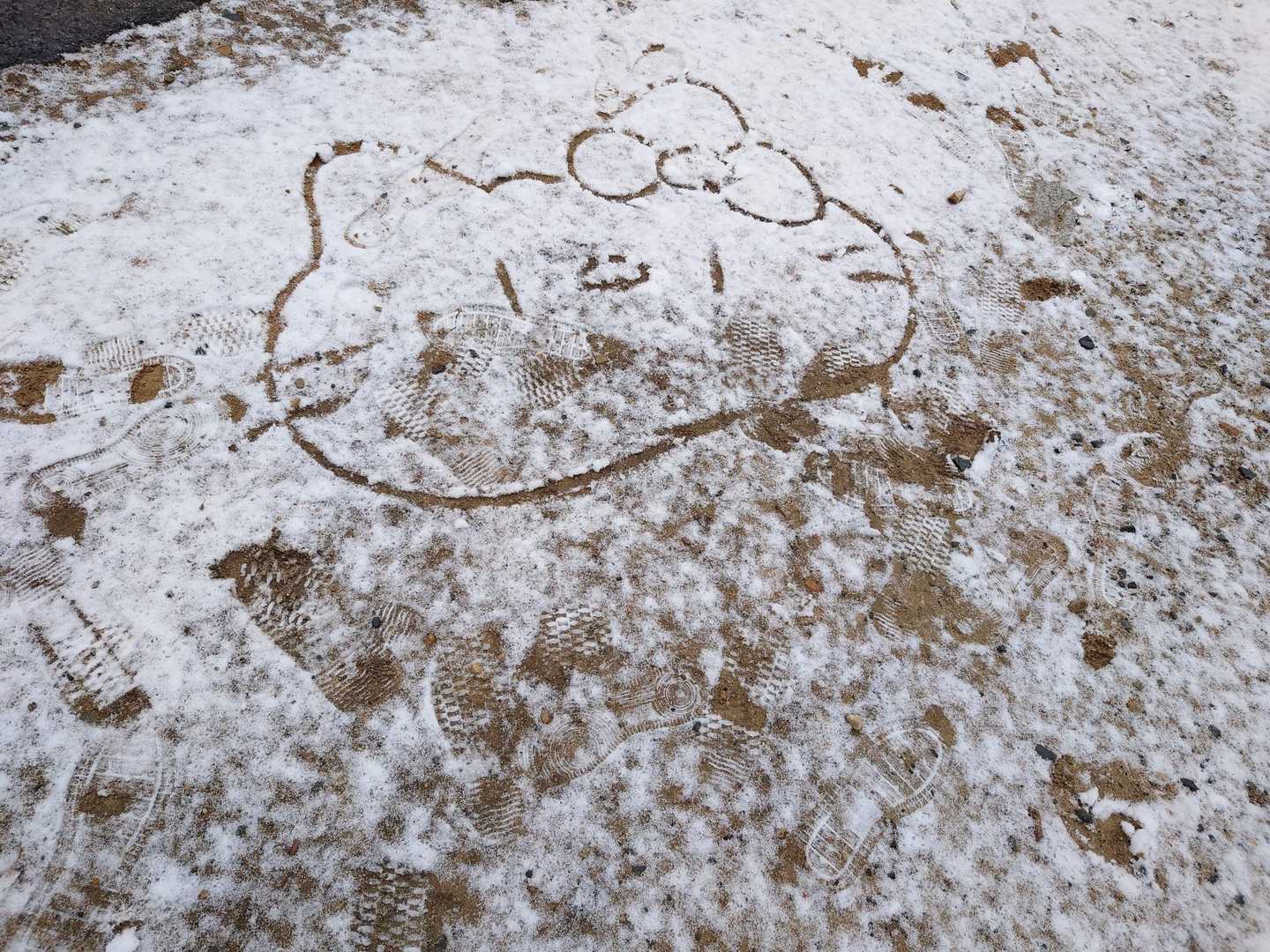 キティちゃんが😃