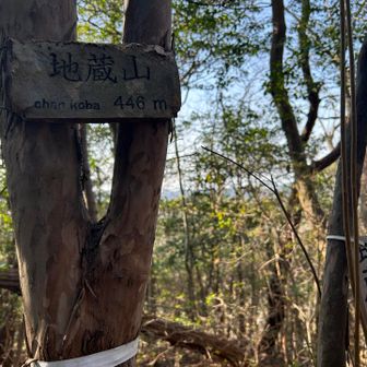 地蔵山・446m
眺望なし。