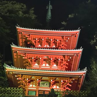 夜にロープウェイで来たからこその三重塔