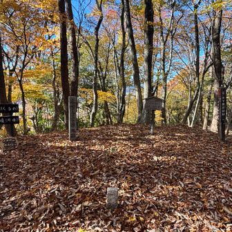 虎御前山山頂✨木下秀吉陣地跡