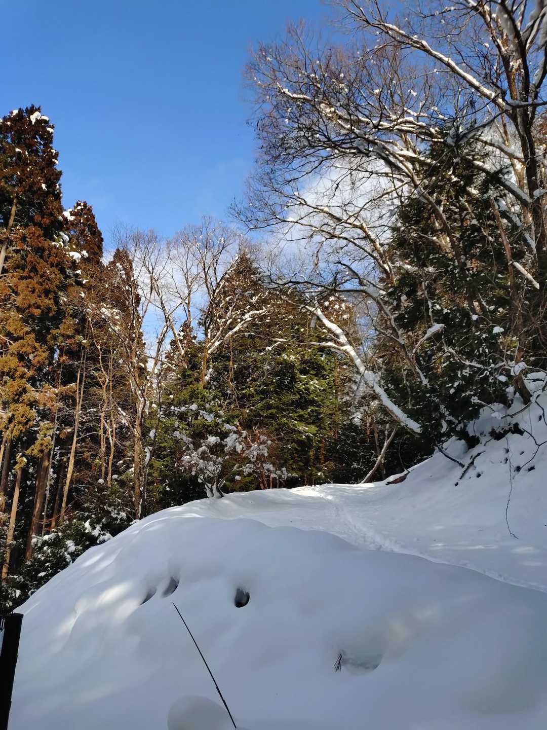 下山してくると、めちゃめちゃ青空が💦

山あるあるやなぁ💦(^_^;)