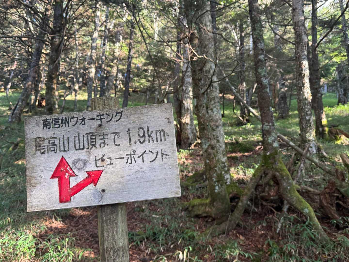 ビューポイントまで教えてくれてます😆