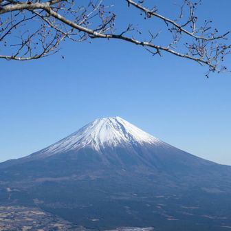 帰りにも展望台から