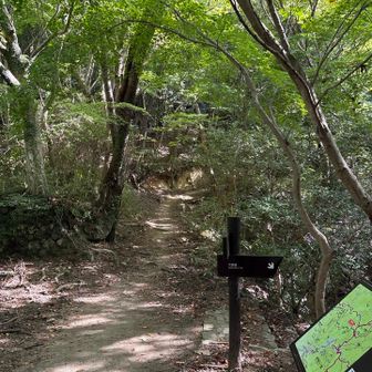今日は直進。善助茶屋跡方面へ。