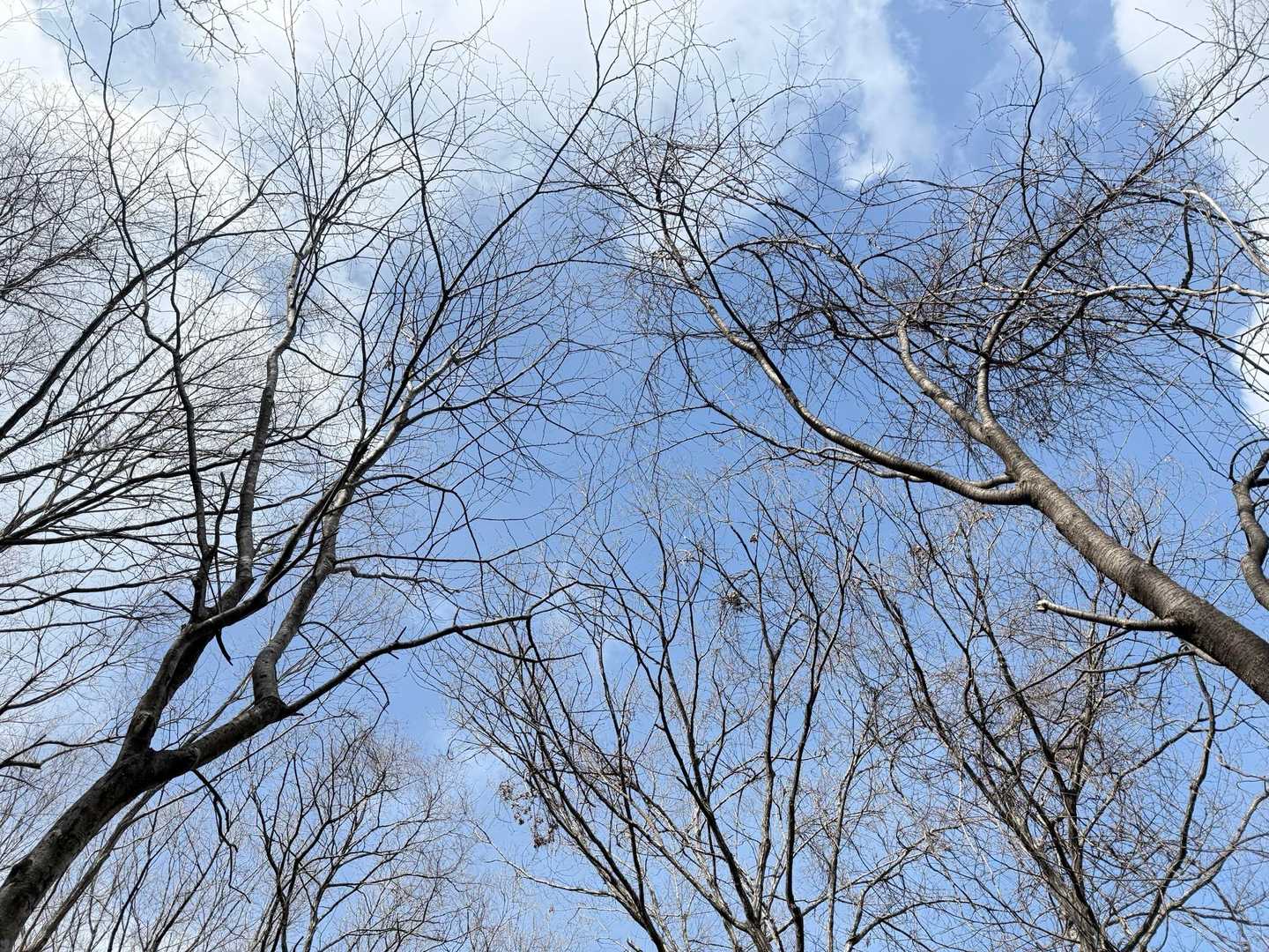 最後に青空🩵