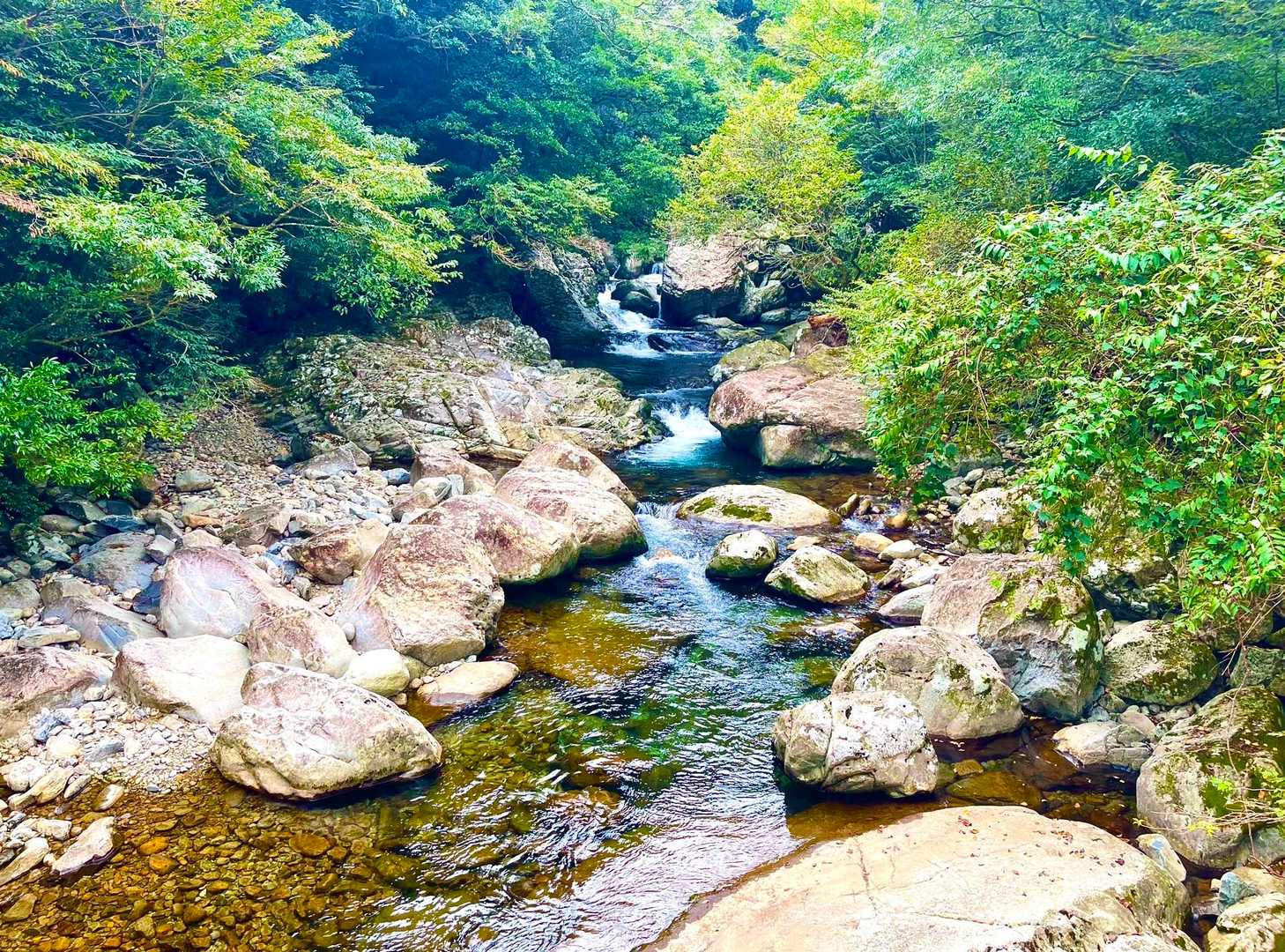 尾鈴山地東麓を流れる名貫川の一支流『欅谷』
美しさ極まる清流