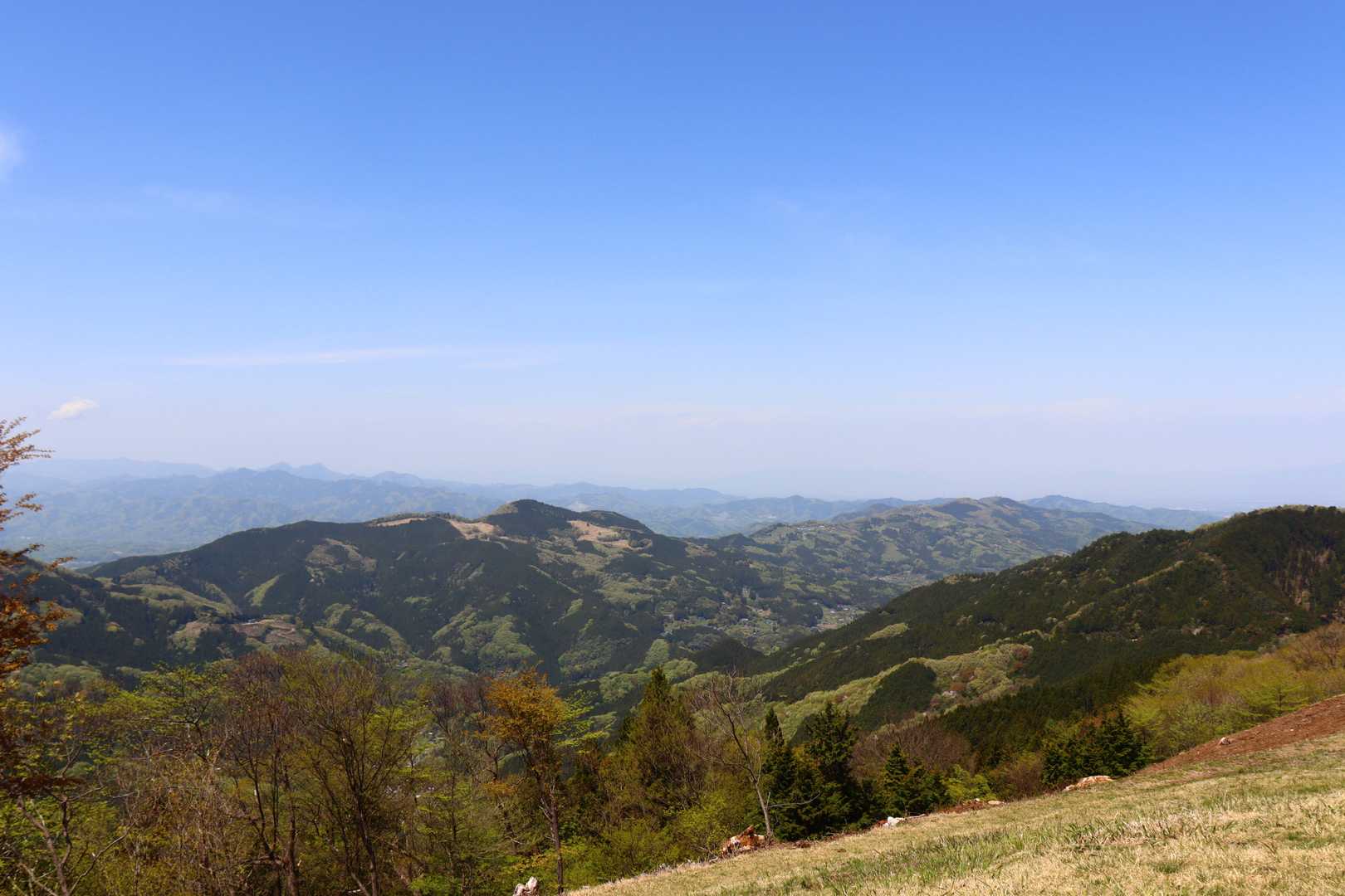 絶景です。