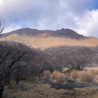入山公（にゅうざんこう）付近から山頂