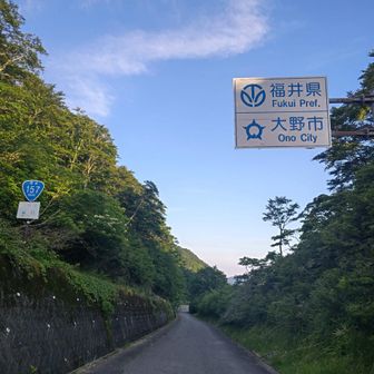 国道なのに狭い‼️
対向車が来ないから安心して運転できるが、シカがうじゃうじゃいるので神経を使う😨