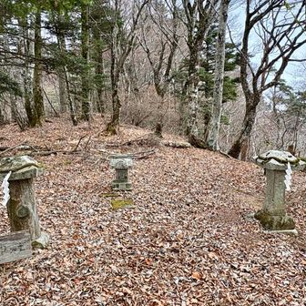 何かが召喚されそうな雰囲気