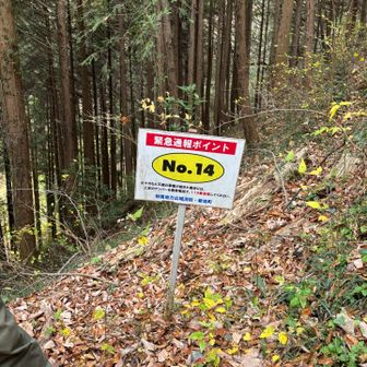 ナンバー表示の看板は有効だね