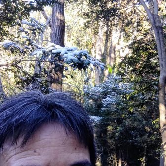 山の髪　頭にも山にも白いものが混じってます