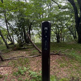 畑尾山通過
また、戻ってくるけど