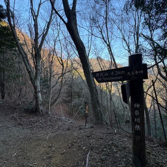 天王寺峠✨✨
この少し前にピークを通過していたらしいけど、
全く気づかず🥲