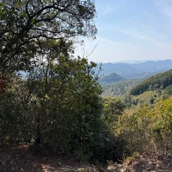 では次に向かいます