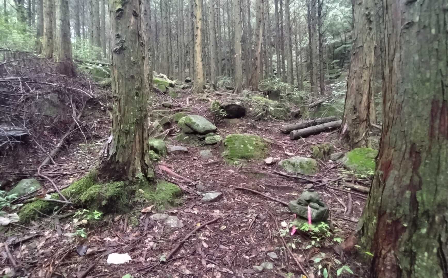 目印がある👍