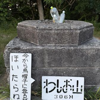 このペットボトルはヤマガラの水浴び用らしい😊