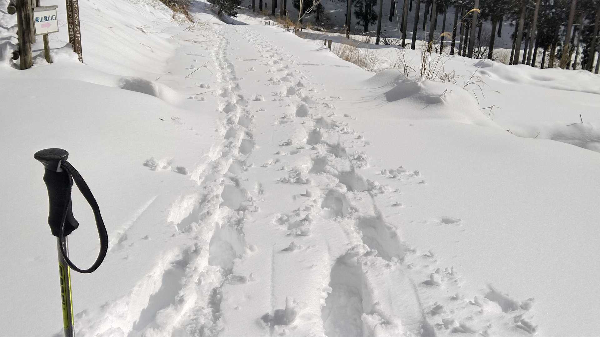 ポール側がワタクシ
雪が重くて進まん
もしかしてスノーシュー邪魔なんかなぁ？
