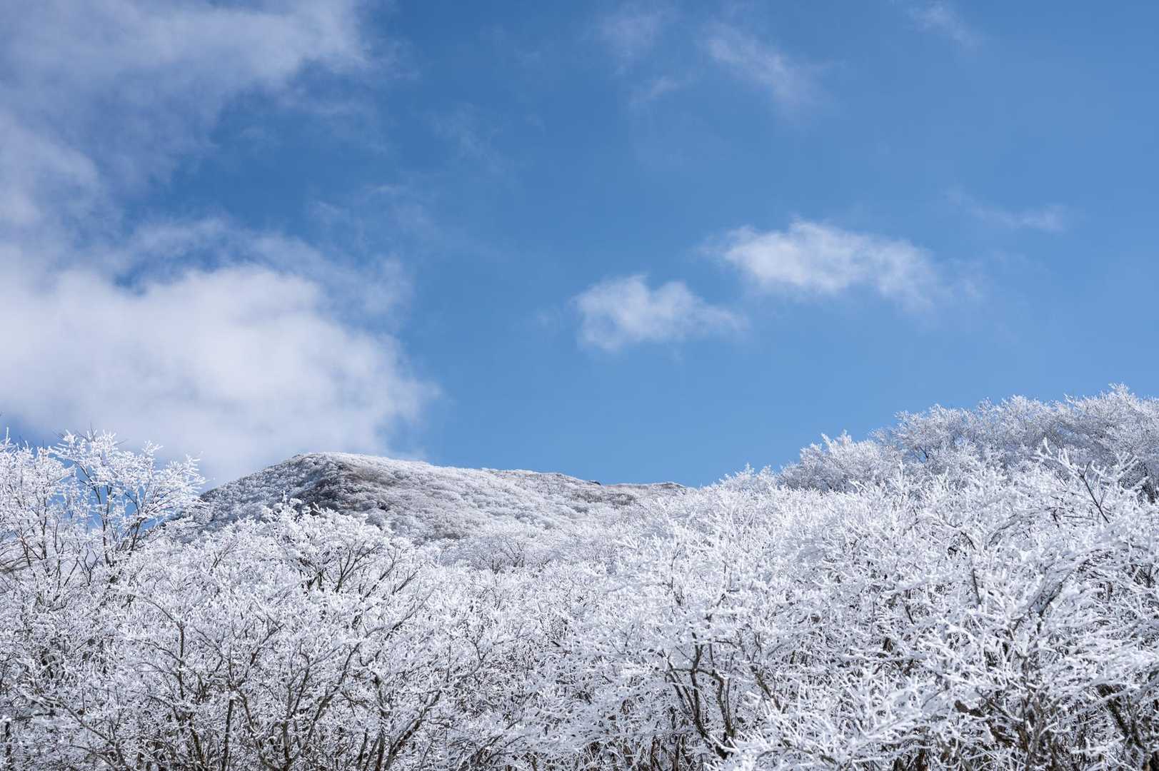瀬の本登山口-岩井川岳 往復コースの写真