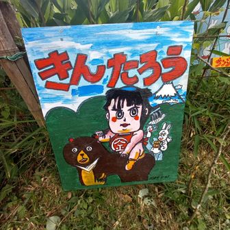 金太郎🐻ファミリー登山も多い☺️