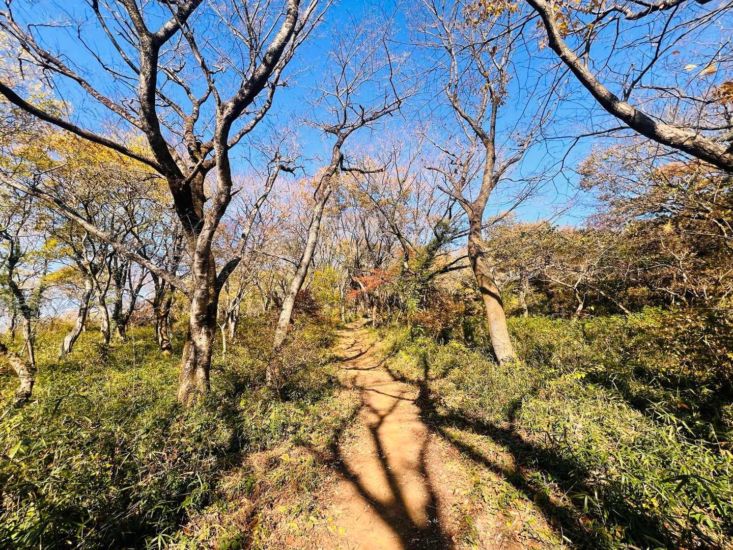 極楽寺コース-宝篋山-常願寺コース 周回コースの写真